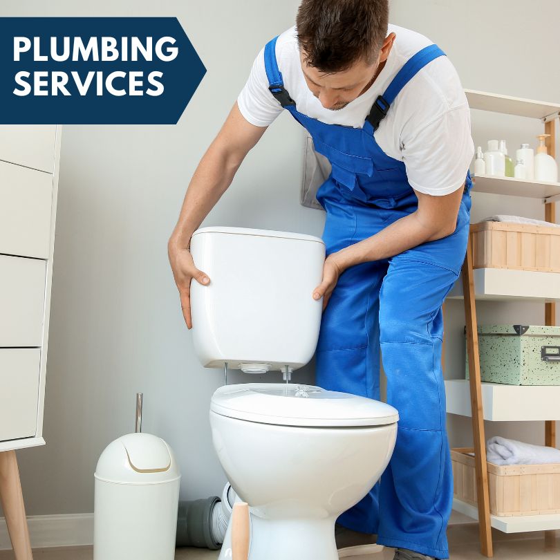 Plumbing Company in Willow Springs, IL